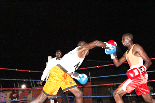 AC boxers back in the ring Saturday
