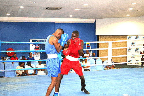 Boxers ready to showcase their talent …as bonanza set for today  