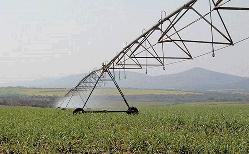 Planning for agricultural loans