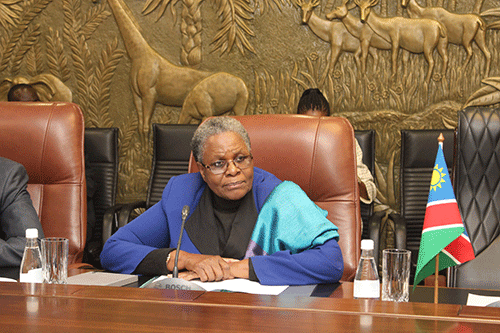 Be patriotic, VP tells Namibian youth 