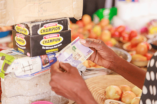 Current currency peg serves Namibia well – BoN