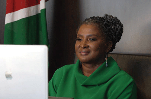 Inequality impedes healthcare access – Geingos