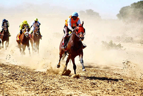 Horse-racing clubs need sponsorship – De Waal