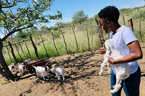 young ndeshi Young farmer sets innovation pace