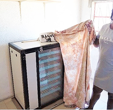 yvonne Communal farmers rise to the challenge