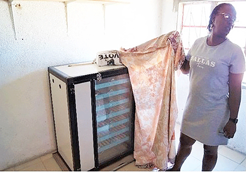 yvonne Communal farmers rise to the challenge