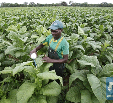 zambezi 1 Zambezi Green to showcase products at Discover Namibia Expo