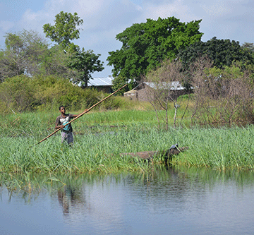 zambezi 2 Flood victims fear second wave…as Zambezi keeps rising