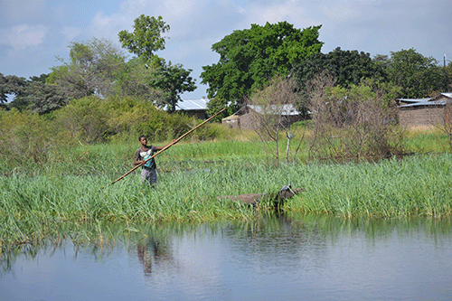 zambezi 2 Flood victims fear second wave…as Zambezi keeps rising