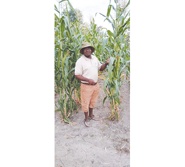 zambezi horticulture1 1 Mufe mubu mulwalo kuli mutahise lico