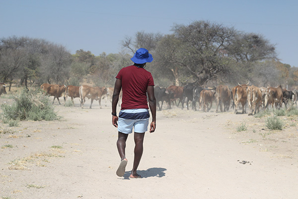 zoonotic Zoonotic diseases present major challenge