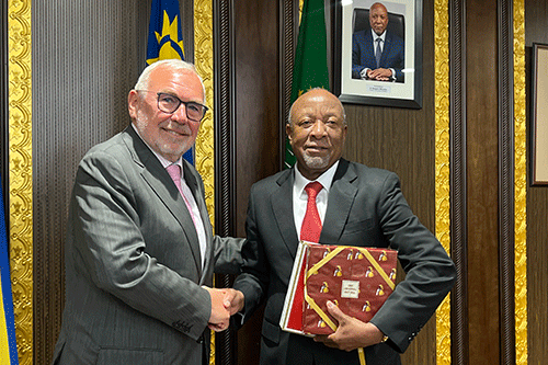 Austria Austria proposes affordable houses initiative in Namibia