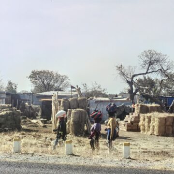 Drought Oshikukuta: oshipandwa nokushekwa …otashi etele aanyangadhali iiyemo