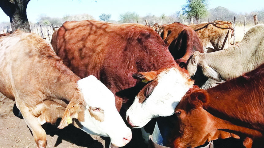 Epangero Epangero: kugendesa yimuna kapi vanayisilike