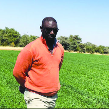 Etunda Etunda la likolwa epungu lihapu neudo