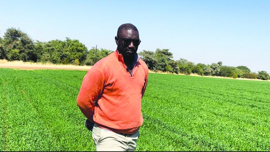 Etunda Etunda la likolwa epungu lihapu neudo