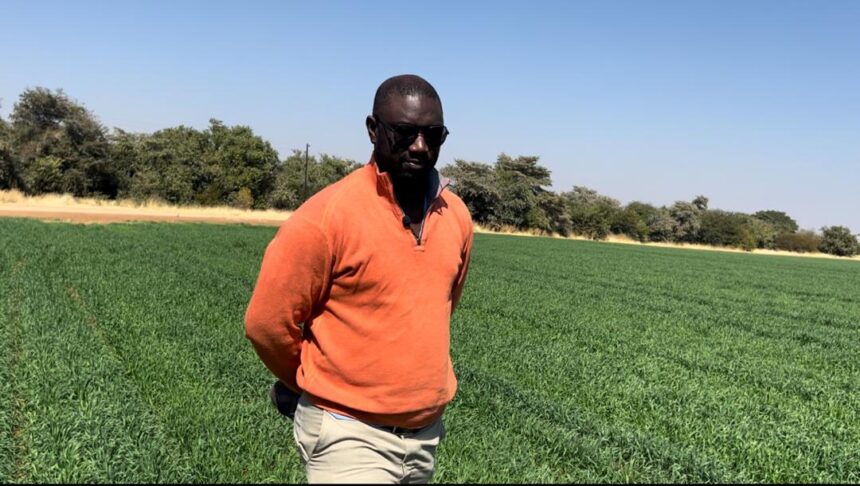 Etunda feed Etunda toils on food security dream