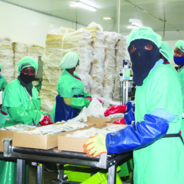 Competition ‘red flags‘in horse mackerel sector