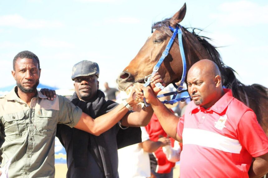 Horse Epukiro Racing adds new horse to stable