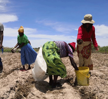 Hunger UN: Etata lyAanamibia olyi li moshikele shondjala