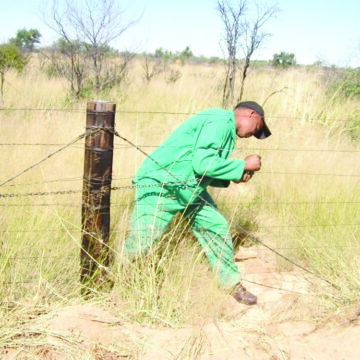 Livestock Board N$4.5m approved for red line repair… foot-and-mouth disease in check