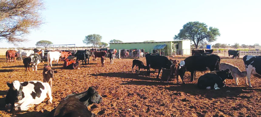Milk Namibia Dairies provides financial support to farmers