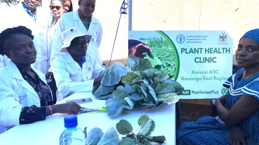 Plant Clinic Namibia’s first plant health clinic launched at Rundu