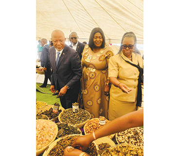 Omaulikilo oipindi otaa tungu eedoolopa – Mbumba 