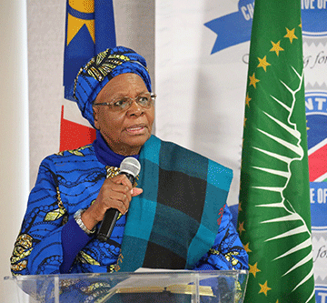 Vice-President NNN: Bureaucracy should not hamstring parastatals