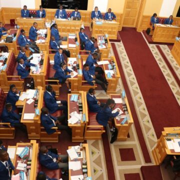 Children’s Parliament empowering youth