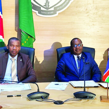 border issues Nam, Bots border security improves