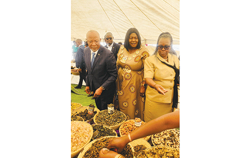 President Culture, heritage vital for nation-building – Mbumba