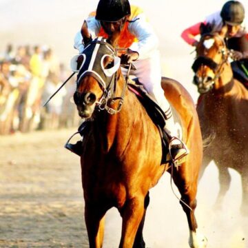 August jpg Sweet victory for Woodland Ridge, Lady Diamond