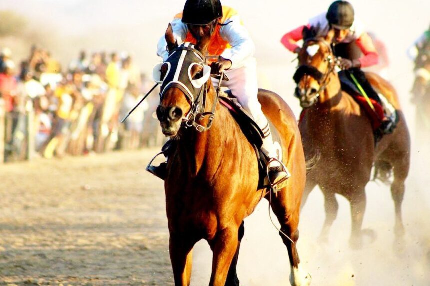 August jpg Sweet victory for Woodland Ridge, Lady Diamond