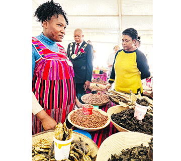 Business Epangelo ta li twikile okuyambidida omaulikilo oipindi