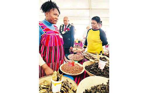 Business Epangelo ta li twikile okuyambidida omaulikilo oipindi