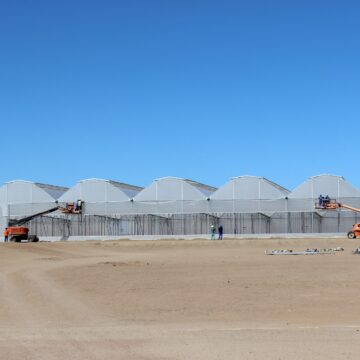 Daures Daures Green Hydrogen Village to start in September