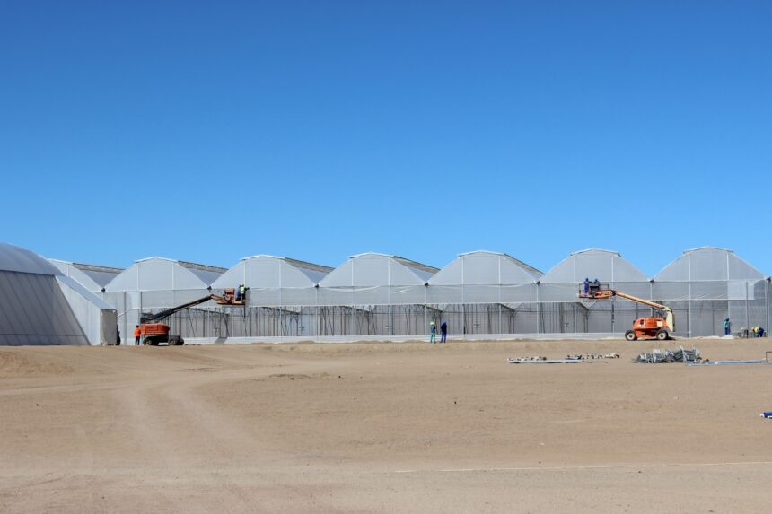 Daures Daures Green Hydrogen Village to start in September