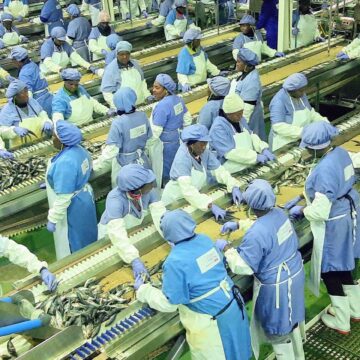 Fishing 2 Strengthen and fast-track fishing laws – report