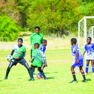 Hopsol jpg Quest U/11s stamp authority …as Swallows go down 7-1
