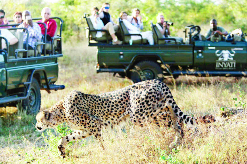Hunting Kruger community to start international hunting