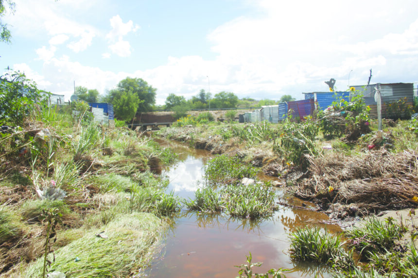 Malaria 28 malaria deaths in 7 months