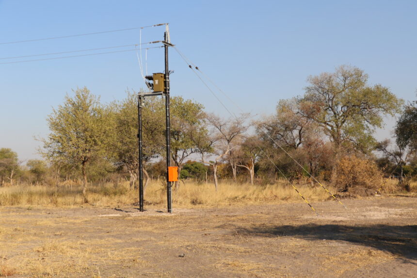 Musambo Electrified 2 Masambo electrified