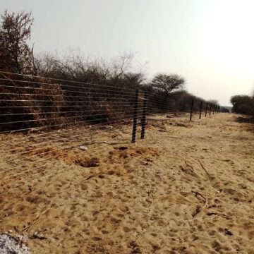 Tribe Onghodja yedu mOndonga …tava fininikwa oku fiya po eehambo davo