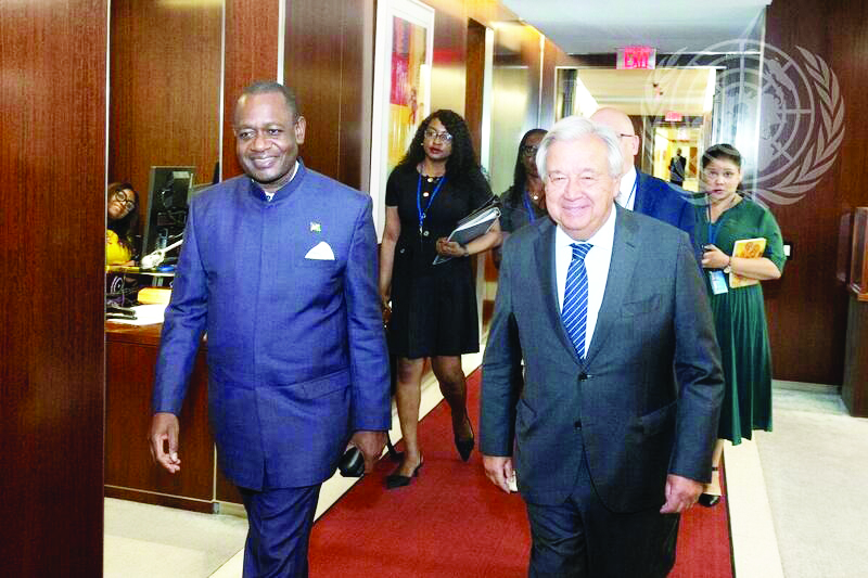 UN Mushelenga continues security council reform chorus