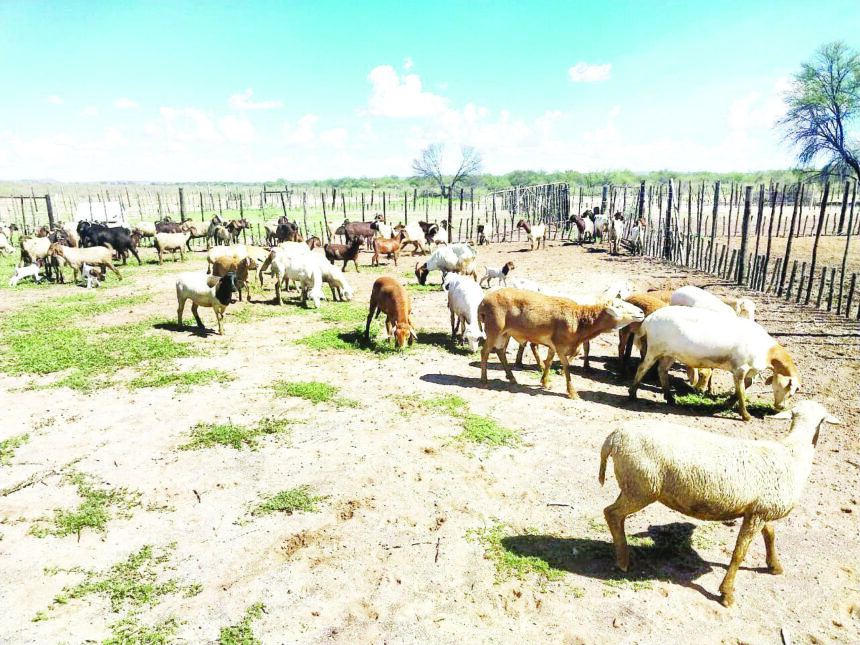 Witsand Witsand invaders in court today