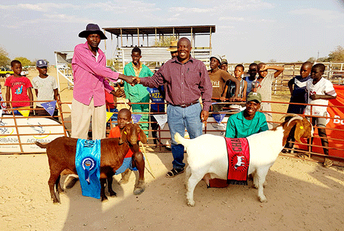 Aminuis Agri Show: Top breeds to strut 