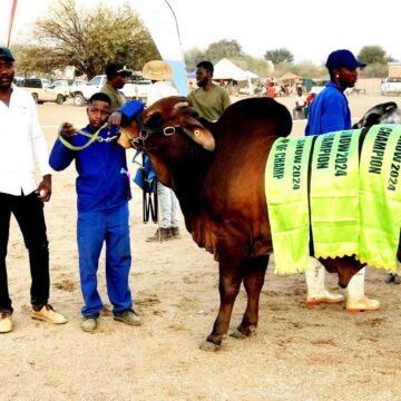 Aminuis Show 1 Aminuis agricultural show hailed a success… as young farmers gain exposure