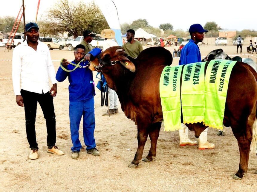 Aminuis Show 1 Aminuis agricultural show hailed a success… as young farmers gain exposure