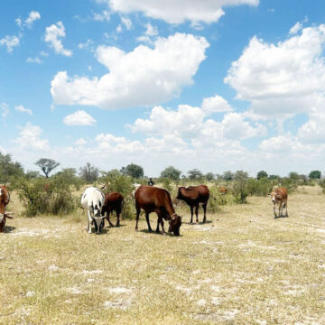 Amupanda Amupanda takes red line fight to Zambezi